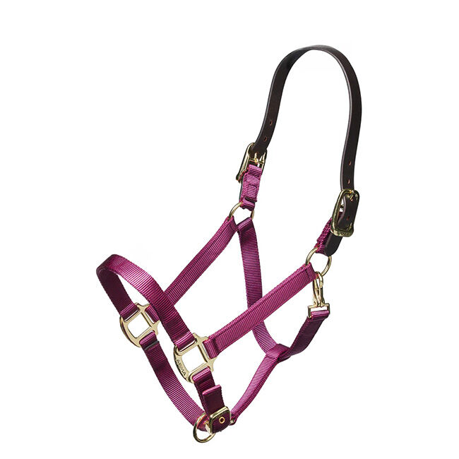 Shires Nylon Halter with Leather Head Strap image number null