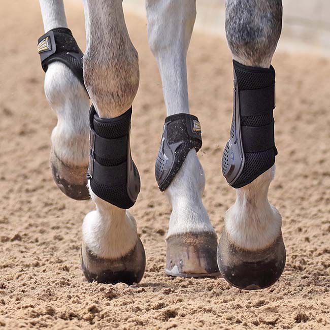 Shires ARMA OXI-ZONE Brushing Boots image number null