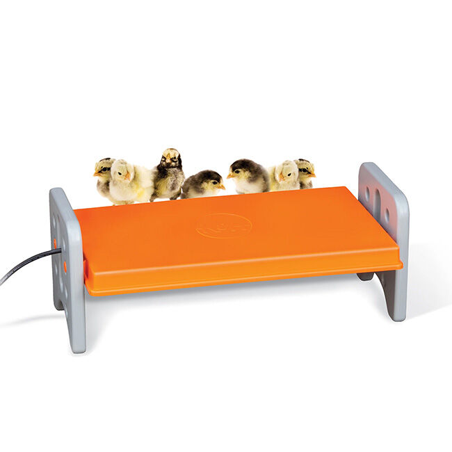 K&H Pet Products Thermo-Poultry Heated Chicken Brooder - 25 Watt image number null