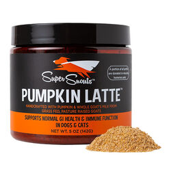 Super Snouts Pumpkin Latte Digestive Supplement for Dogs & Cats - 5 oz