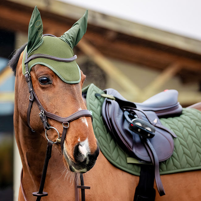 Horseware Amigo Ear Net image number null