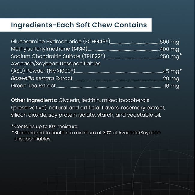 Nutramax Dasuquin for Small to Medium Dogs, Joint Health Supplement, Contains Glucosamine for Dogs, Plus Chondroitin, ASU, MSM and More, Supports Healthy Joints, Soft Chews image number null