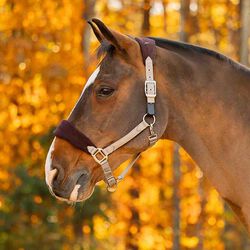 Equinavia Saga Fleece Padded Breakaway Halter - Desert Taupe/Dark Brown