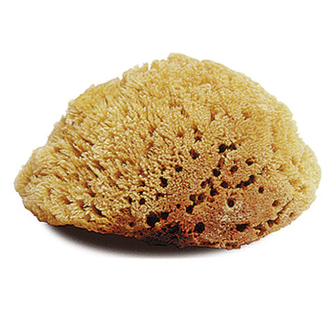 Jacks Manufacturing Natural Sponge - Large