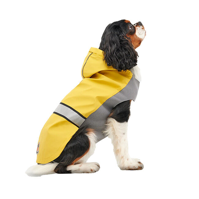 Goo-eez Reflective Hooded Raincoat for Dogs - Yellow image number null