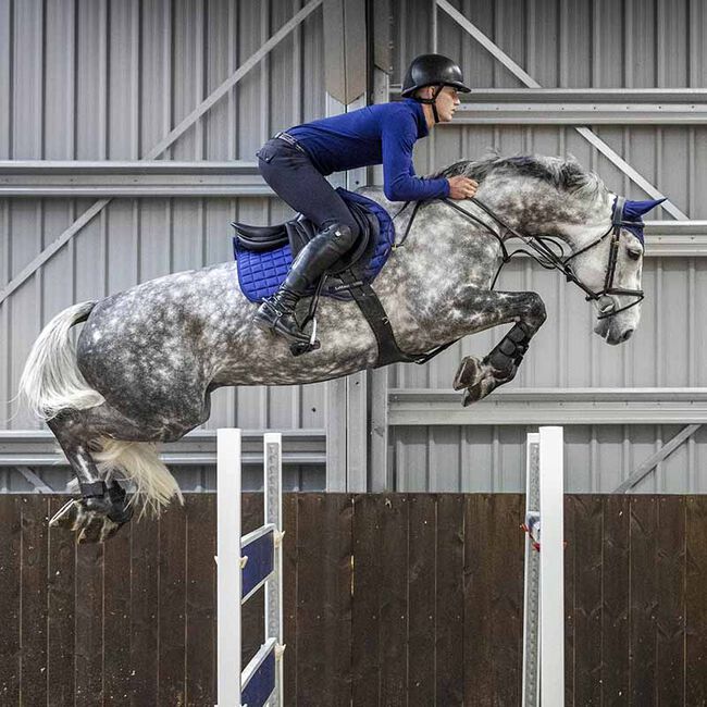 LeMieux Loire Classic Close Contact Square Pad Ink The Cheshire Horse