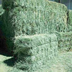 Pleasant View Farms 3-String Teff Hay Bale - 100 lb