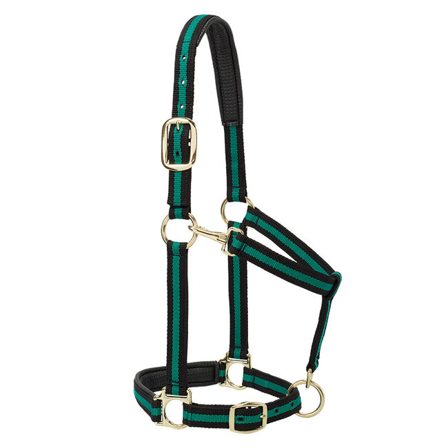 Weaver Equine Striped Padded Adjustable Chin & Throat Snap Halter image number null