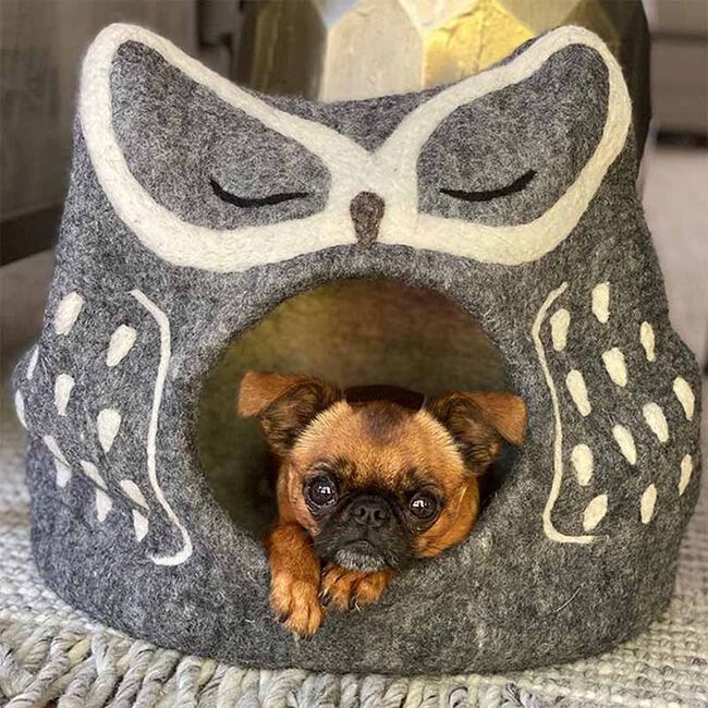 Dharma Dog Kharma Cat Wool Grey Owl Cave image number null
