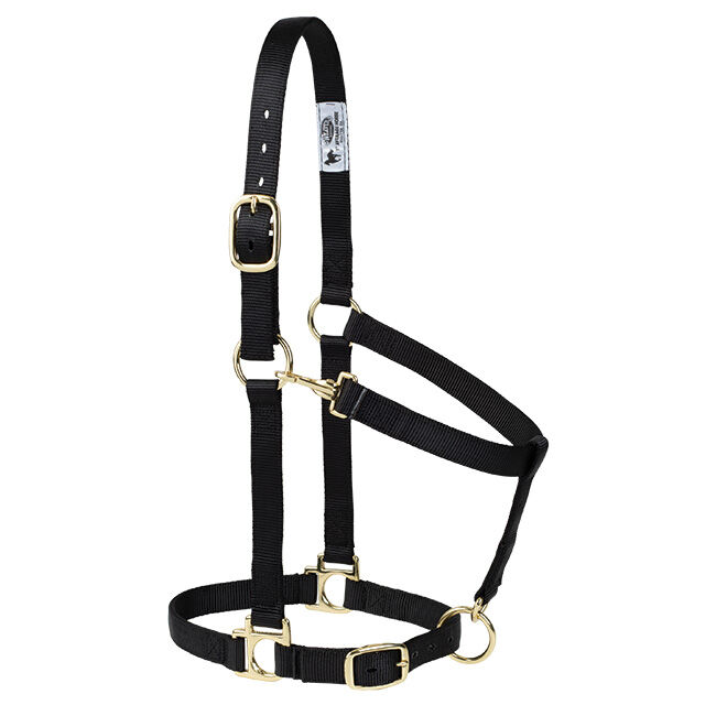 Weaver Equine Poly Adjustable Halter image number null
