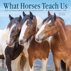 Willow Creek Press 7" x 7" Mini Wall Calendar - What Horses Teach Us