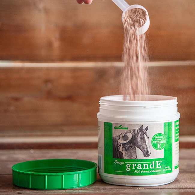 Omega Fields grandE - Vitamin E & Antioxidant Supplement image number null