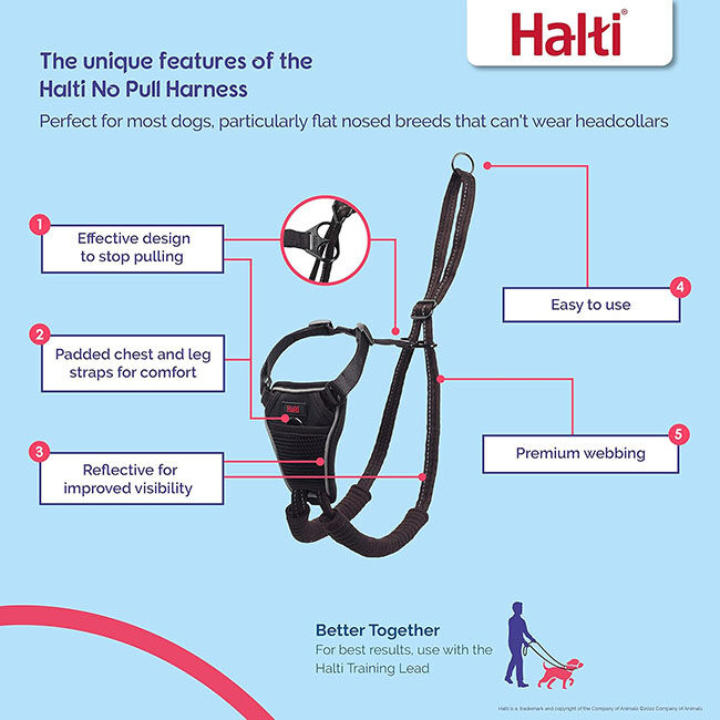 Halti Nylon No-Pull Dog Harness - Black image number null
