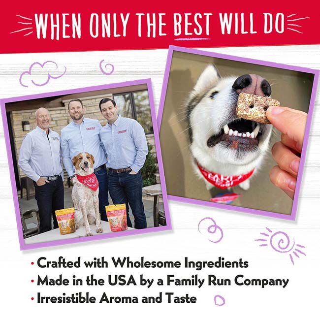 Charlee Bear Bearnola Bites - Pumpkin Spice Flavor - 8 oz image number null