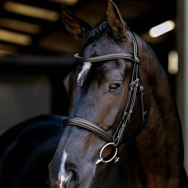 LeMieux Arika Cavesson Bridle - Black/Silver image number null