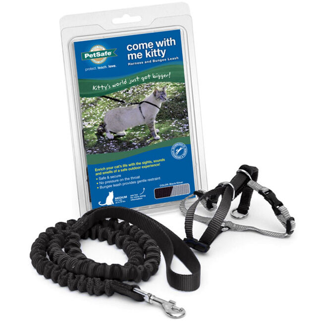 PetSafe Come With Me Kitty Harness & Bungee Leash Model image number null