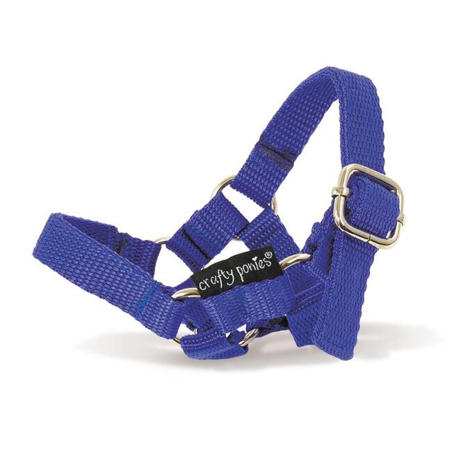 GT Reid Crafty Pony Nylon Halter - Blue  image number null