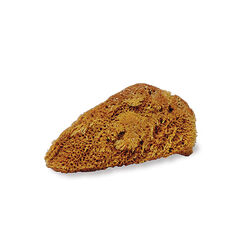 Jacks Manufacturing Small Natural Sponge