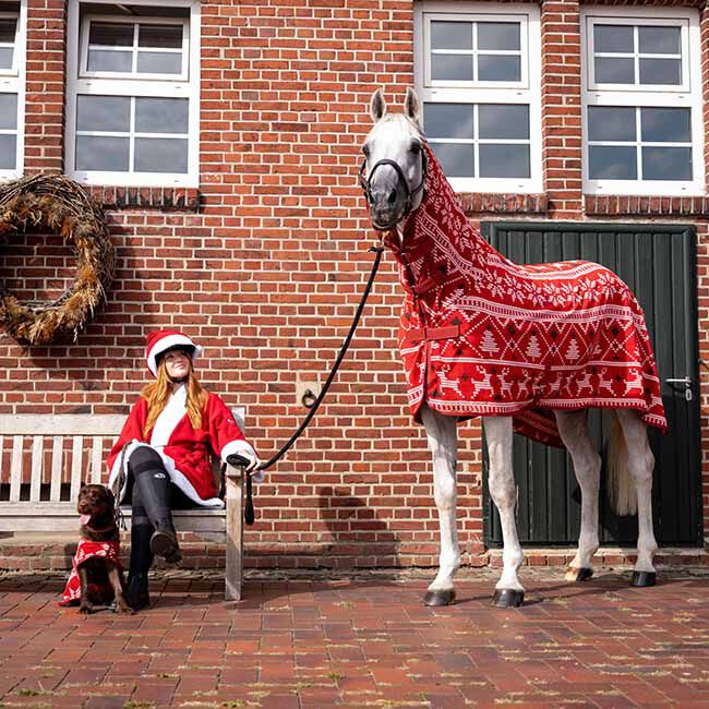 Horze Christmas Horse Sweater - Red image number null