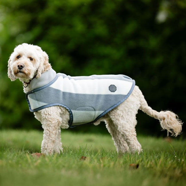Horseware Newmarket Dog Coat - Witney Charcoal image number null