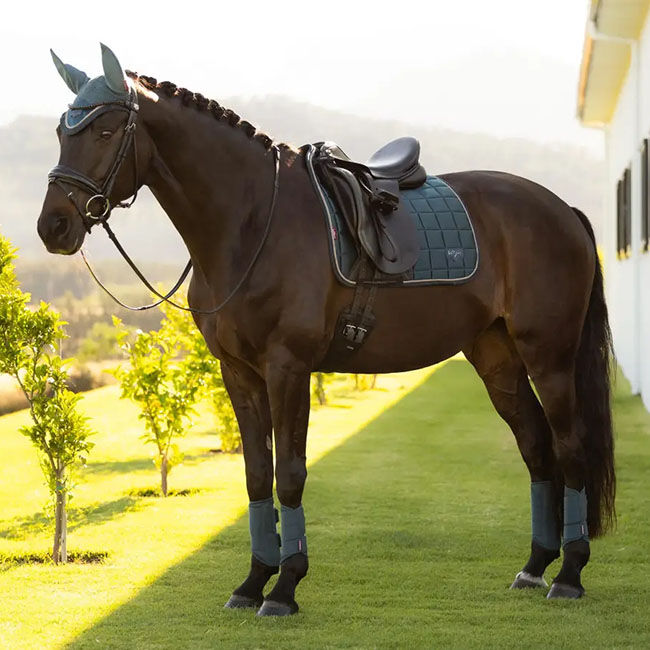 LeMieux Loire Classic Dressage Pad - Jungle image number null