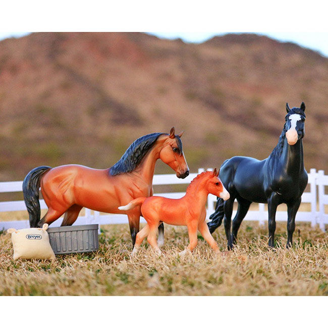 Breyer Spanish Mustang Family image number null