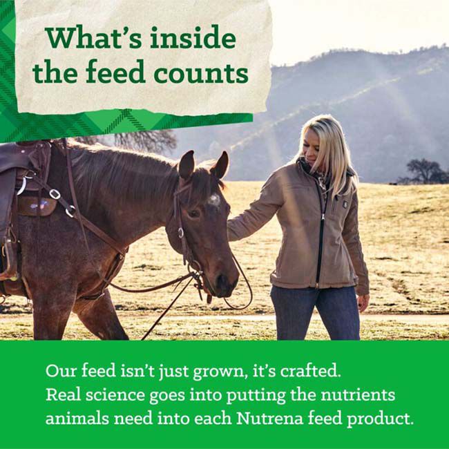 Nutrena Triumph Complete Horse Feed - 50 lb image number null