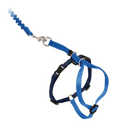 PetSafe Come with Me Kitty Harness & Bungee Leash - Royal Blue/Navy
