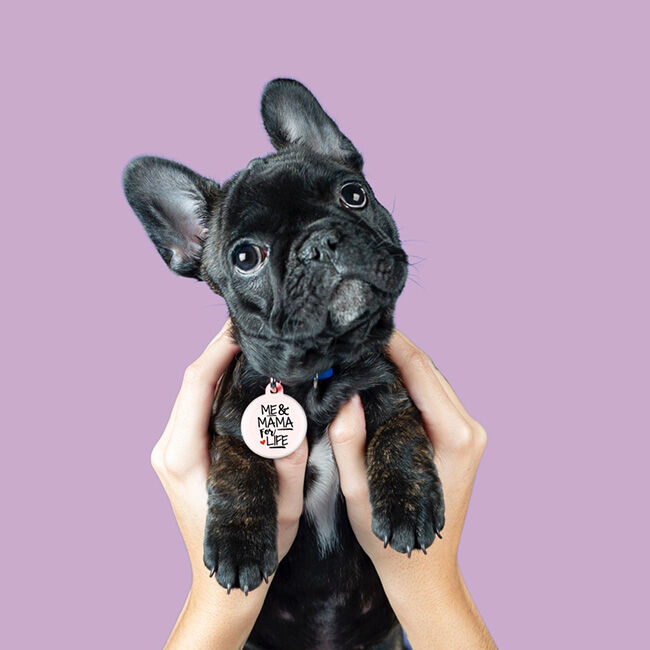 Bad Tags Dog ID Tag - Me & Mama for Life - Pink image number null
