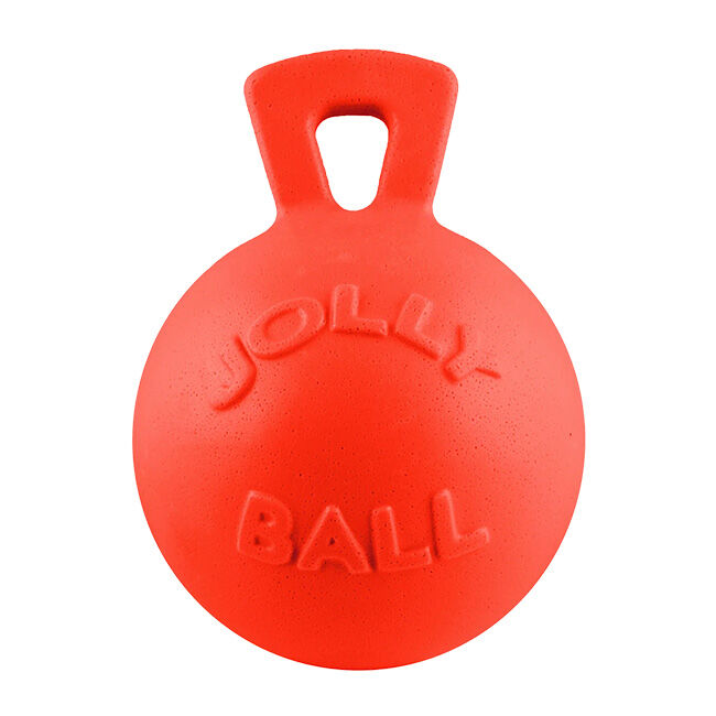 Jolly Pets Tug-N-Toss Dog Toy image number null