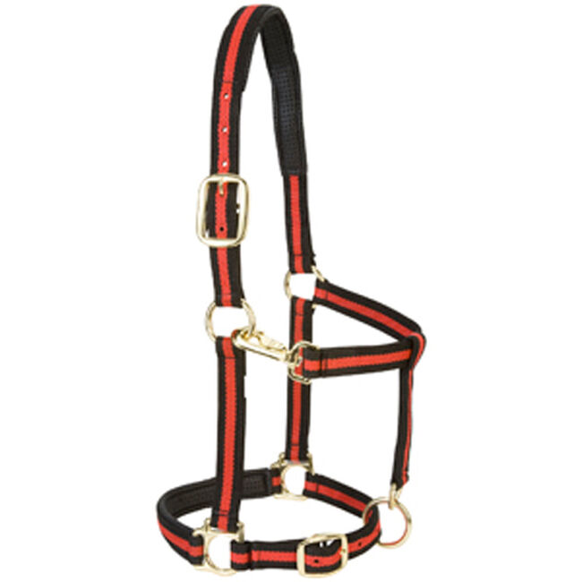 Weaver Padded Adjustable Nylon Halter The Cheshire Horse