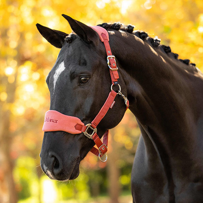 LeMieux Vogue Halter & Lead Rope - Russet image number null