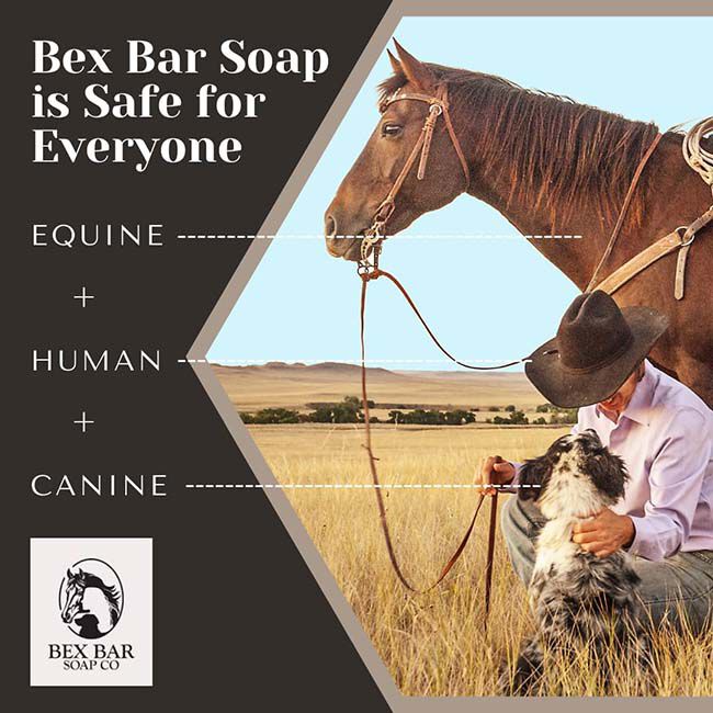 Bex Bar Soap Co Shampoo Bar - Eucalyptus Rain image number null