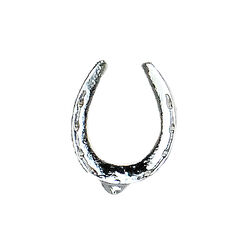 Finishing Touch of Kentucky Tack Pin - Horseshoe - Silver