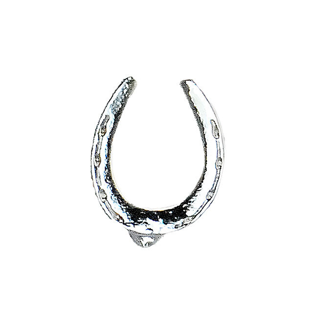 Finishing Touch of Kentucky Tack Pin - Horseshoe - Silver image number null