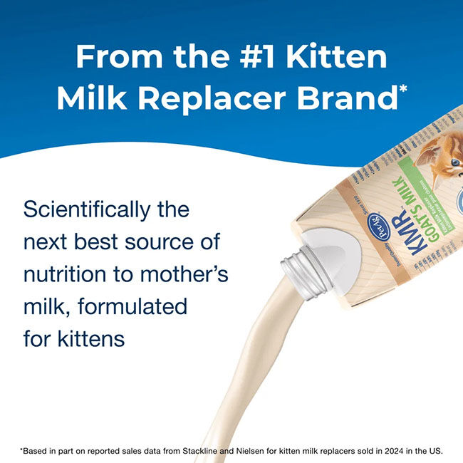 PetAg KMR Goat's Milk Kitten Milk Replacer - 16 oz image number null