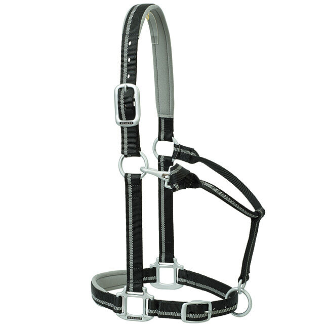 Weaver Nylon Padded Reflective Adjustable Horse Halter The Cheshire Horse
