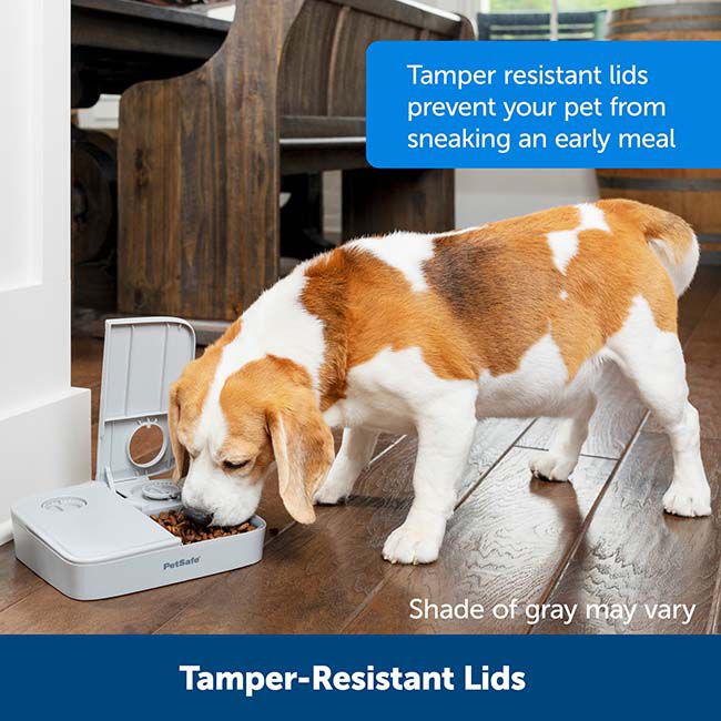 PetSafe Automatic 2 Meal Pet Feeder image number null