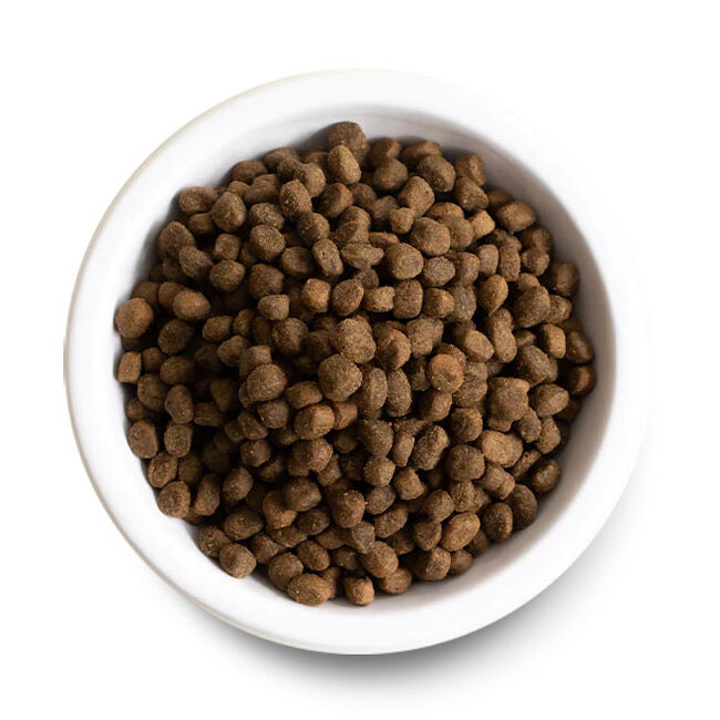 Open Farm Dog Food - Grass-Fed Beef & Ancient Grains Recipe image number null