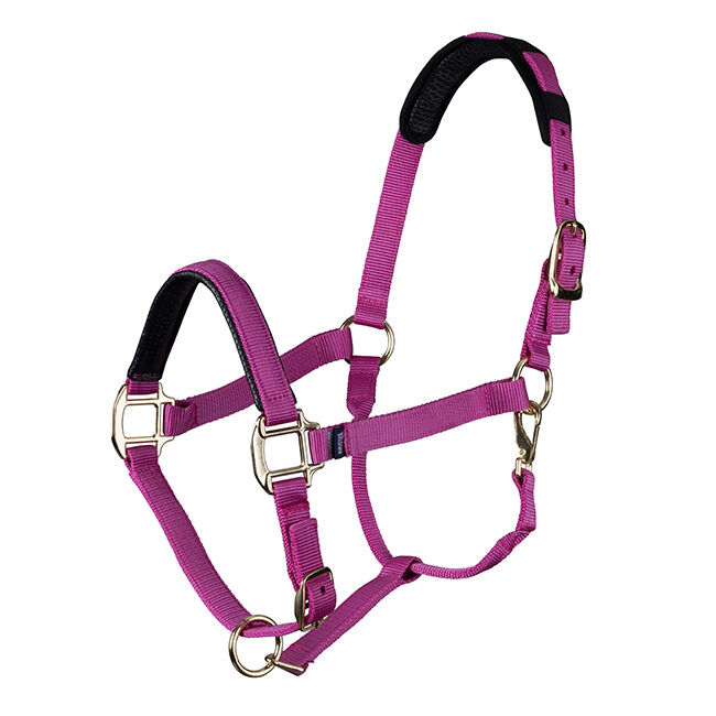 Shires Topaz Leather Breakaway Nylon Halter image number null