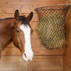 Hay Chix Corner Hay Rack
