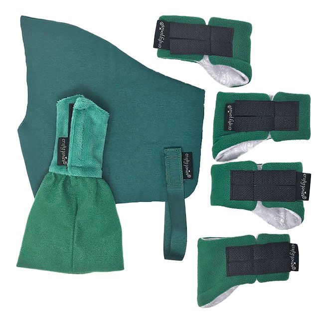 Crafty Ponies Show Travel Set - Green image number null