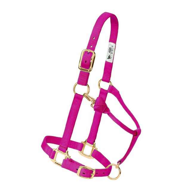 Weaver Adjustable Nylon Halter - Raspberry image number null
