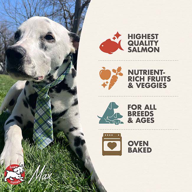 Fromm Four-Star Dog Treats - Salmon with Sweet Potato - 8 oz image number null