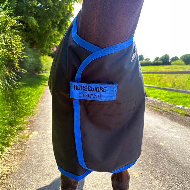 Horseware Amigo Ripstop 900D Foal Turnout (50g Medium) - Black with Classic Blue Trim image number null