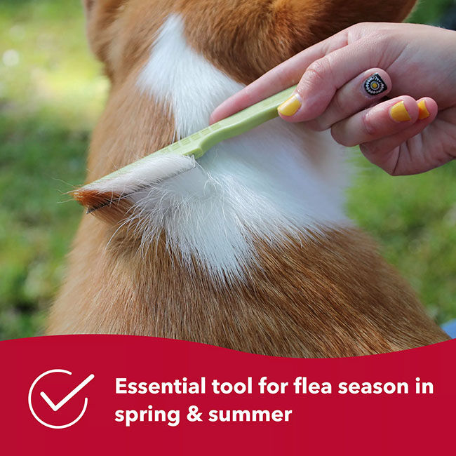 Safari Double-Sided Flea Comb image number null