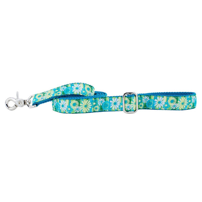 2 Hounds Design 5ft Essential Dog Leash-Daisy Stripe image number null