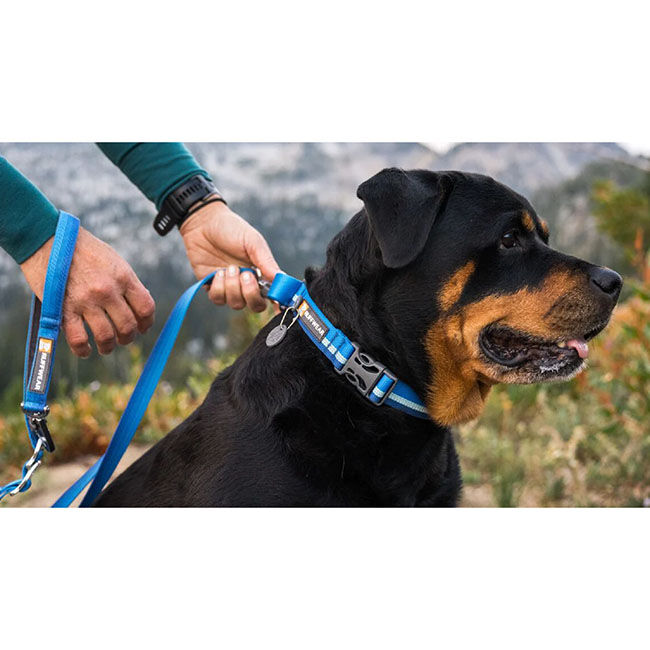 Ruffwear Web Reaction Martingale Collar with Buckle - Blue Pool image number null