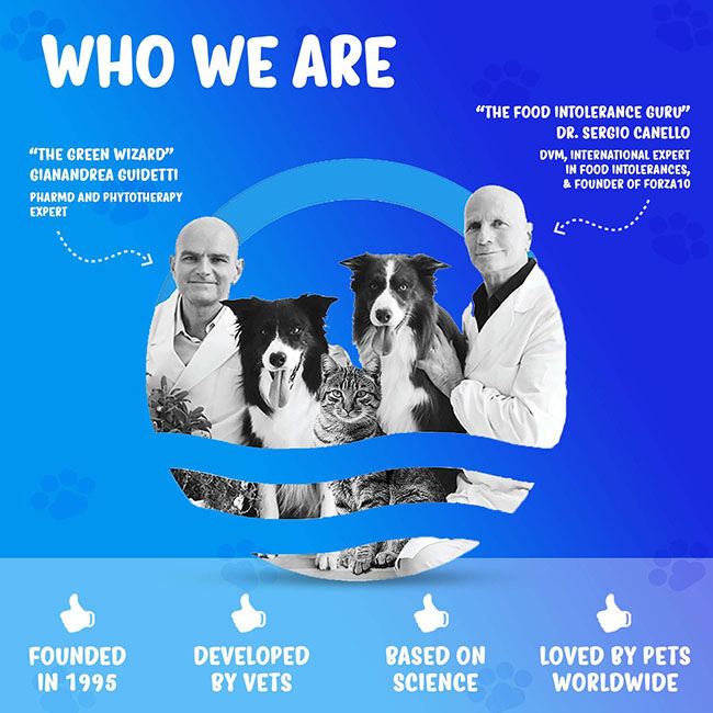 Forza10 Nutraceutic Active Dog Food - Intestinal Support Diet image number null