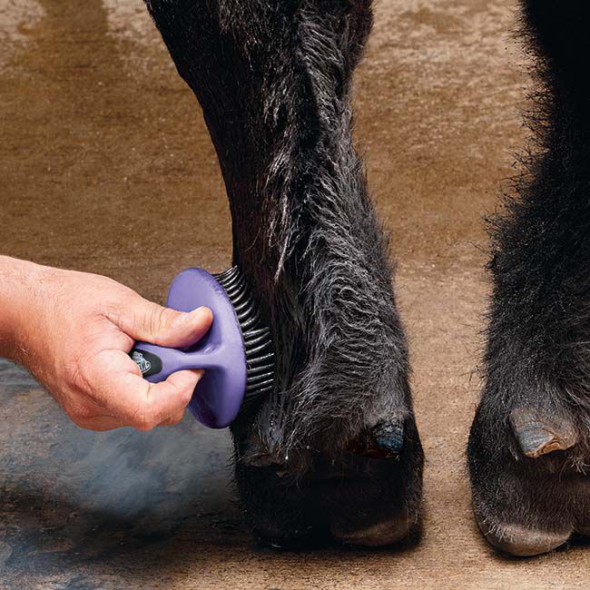 Weaver Livestock Breakdown Brush image number null